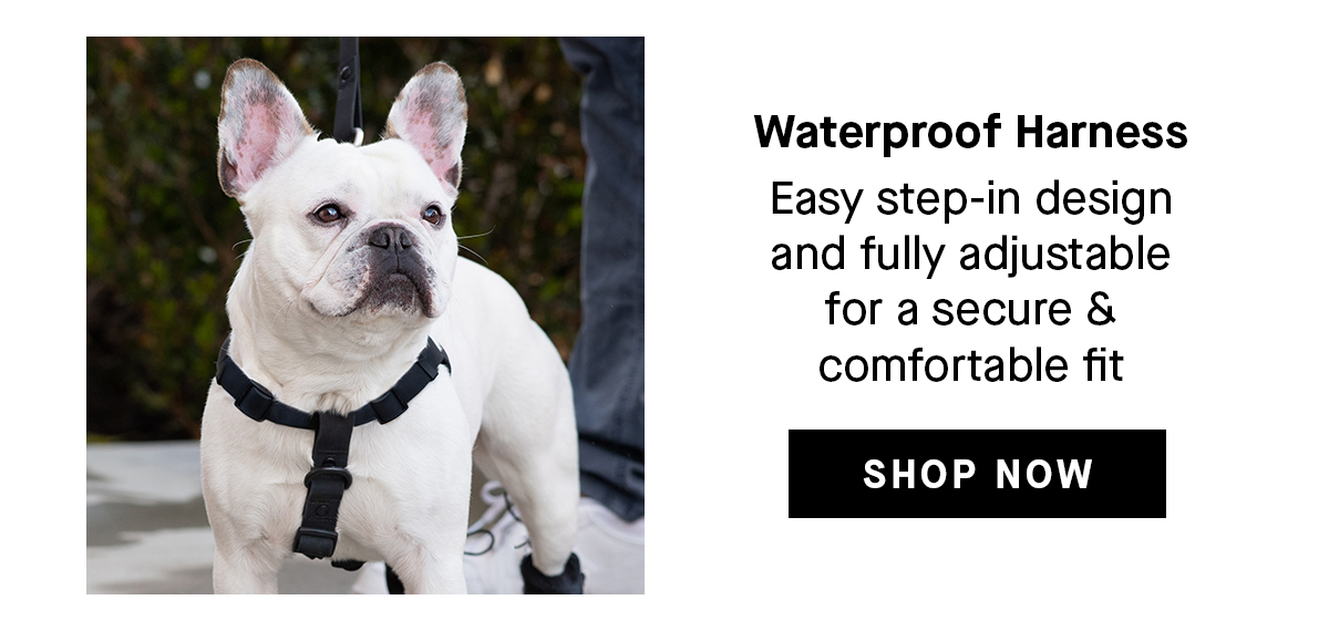 Waterproof Harness: Easy step-in design and full adjustable for a secure & comfortable fit. Shop Now