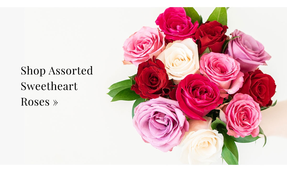 Shop Sweetheart Roses »