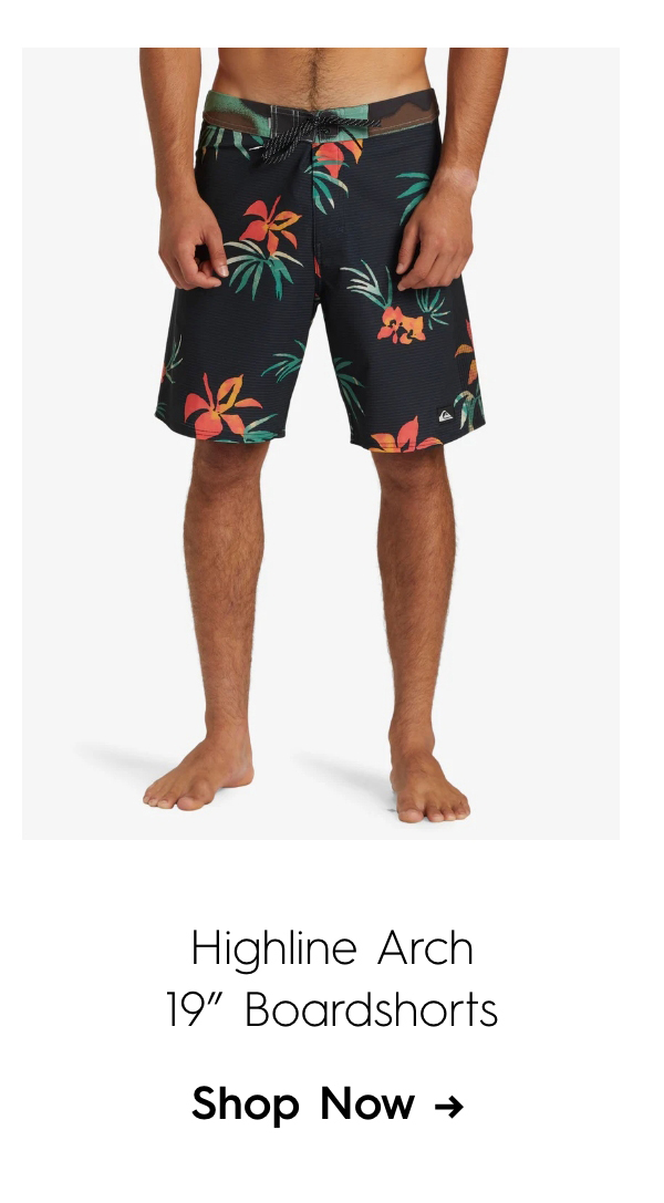 Highline Arch 19" Boardshorts