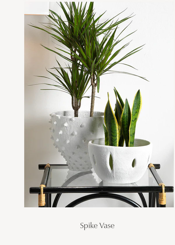 Spike Vase - SHOP NOW