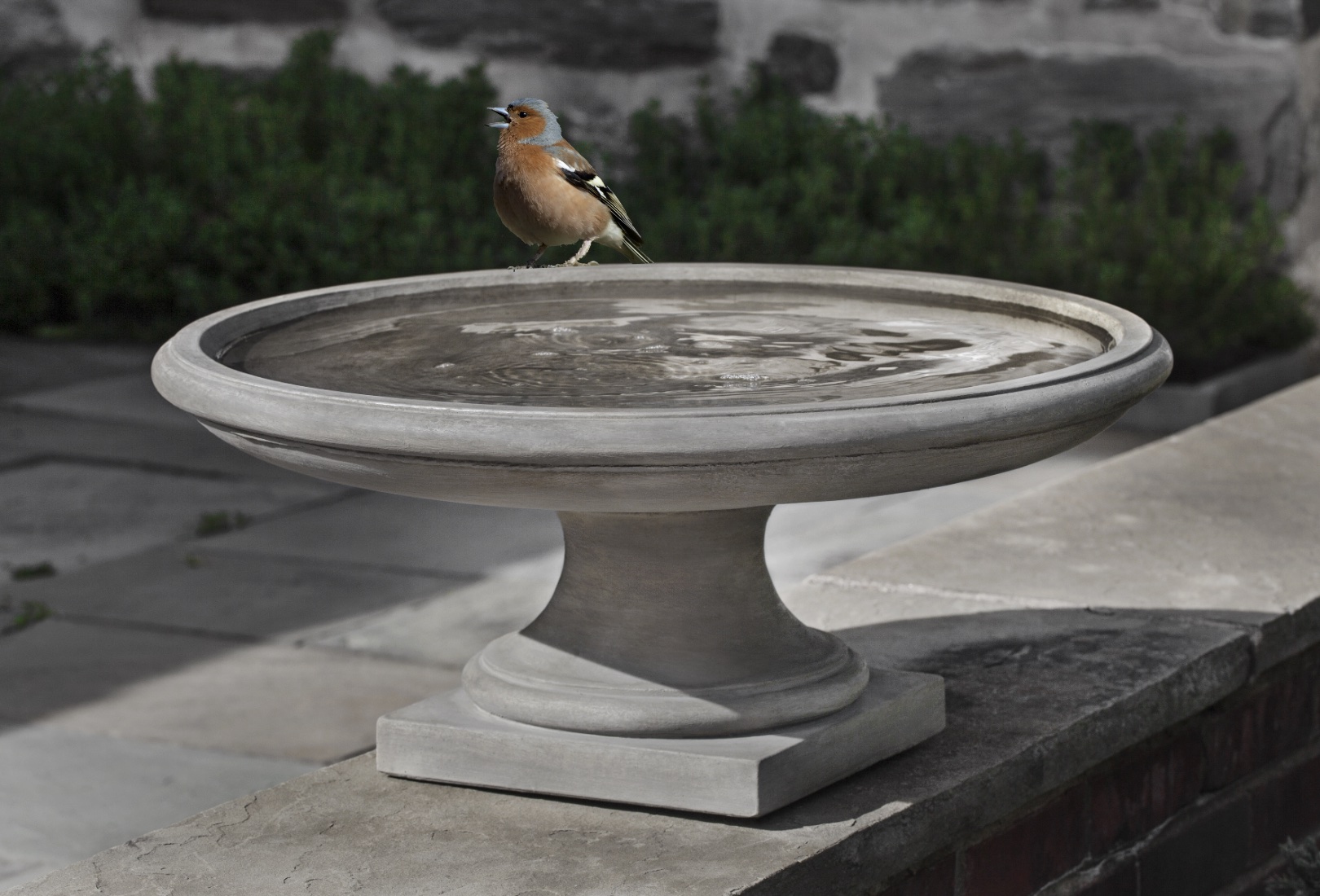 Montebello Birdbath