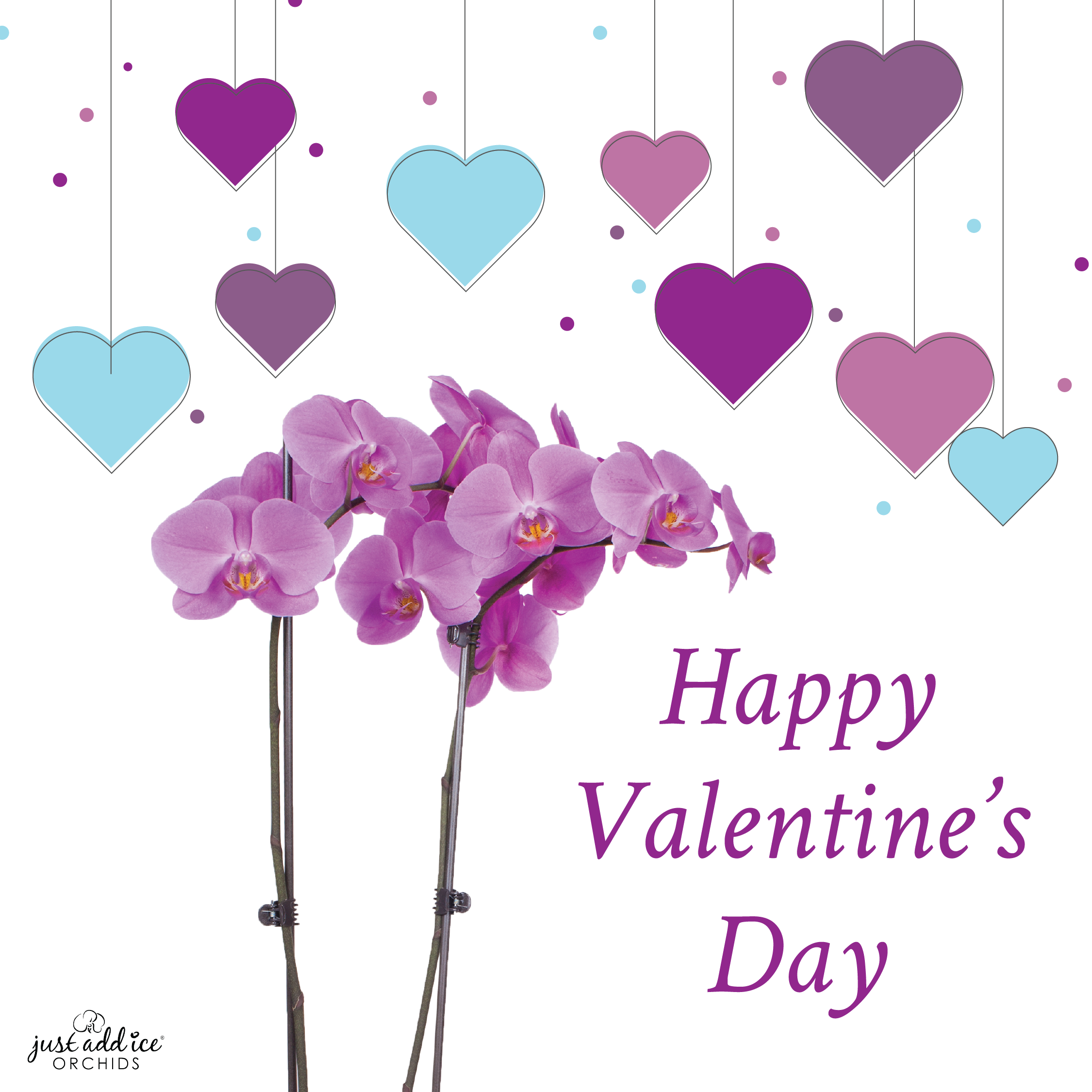 Valentines_day_social_graphics