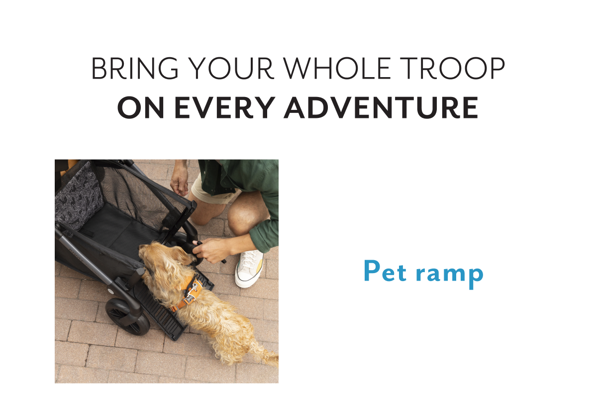 Bring your whole troop on every adventure | Pet ramp