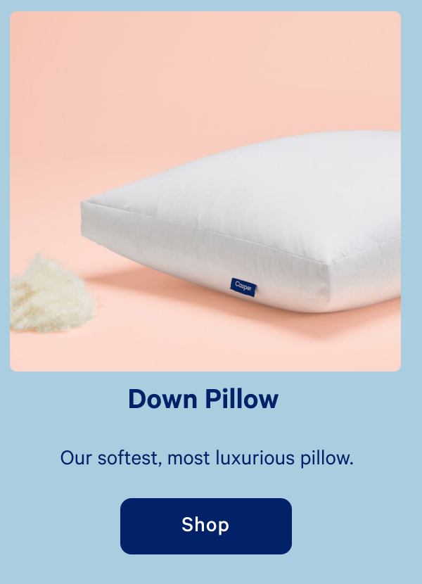 Down Pillow >> Shop >>