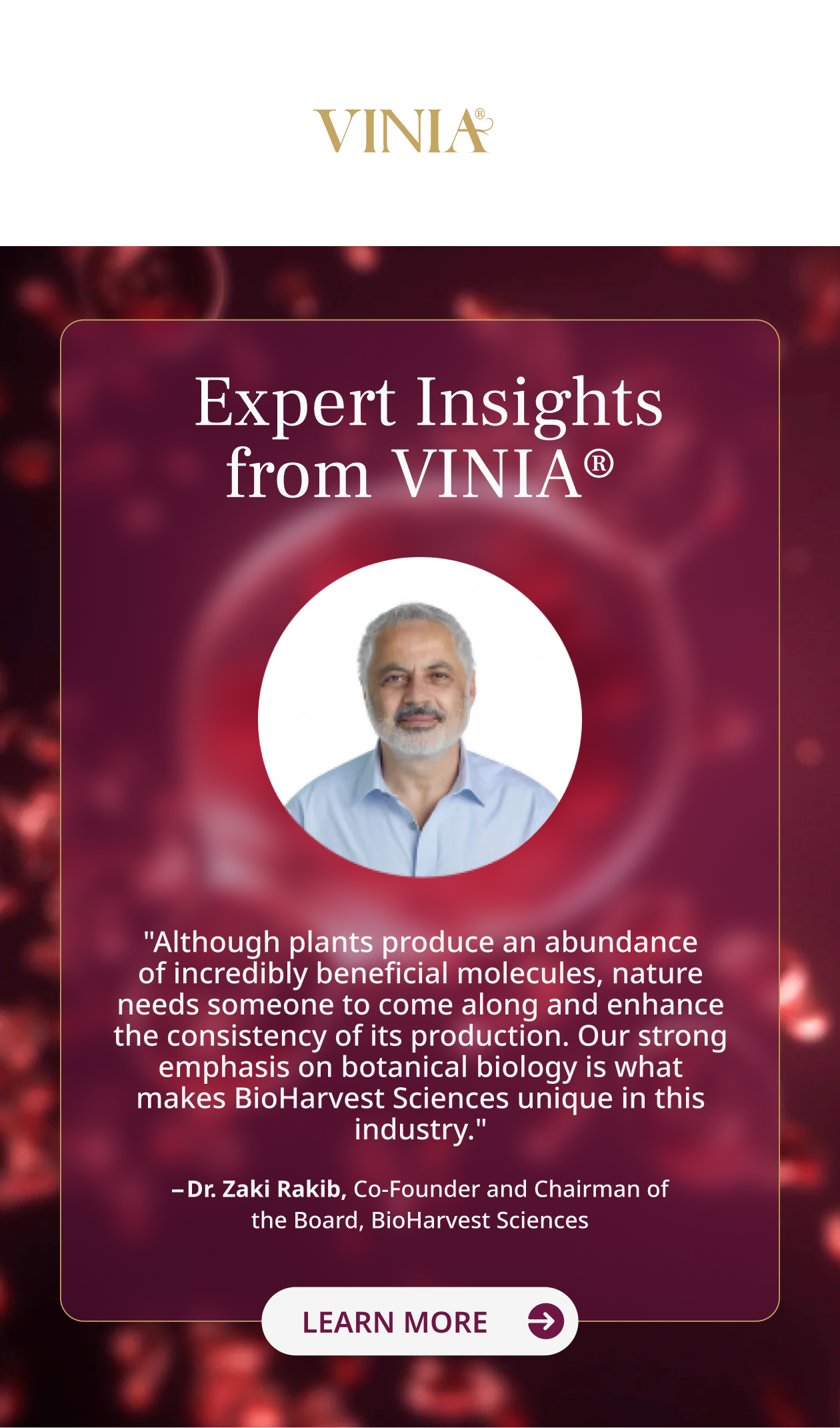 Expert Insights from VINIA