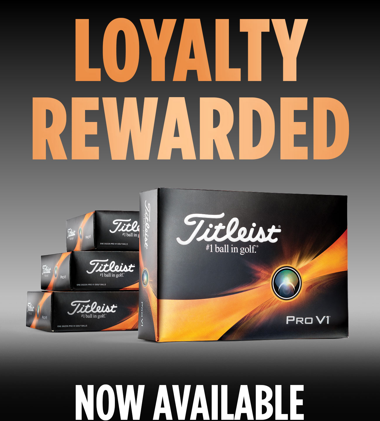 Now Available: Loyalty Rewarded