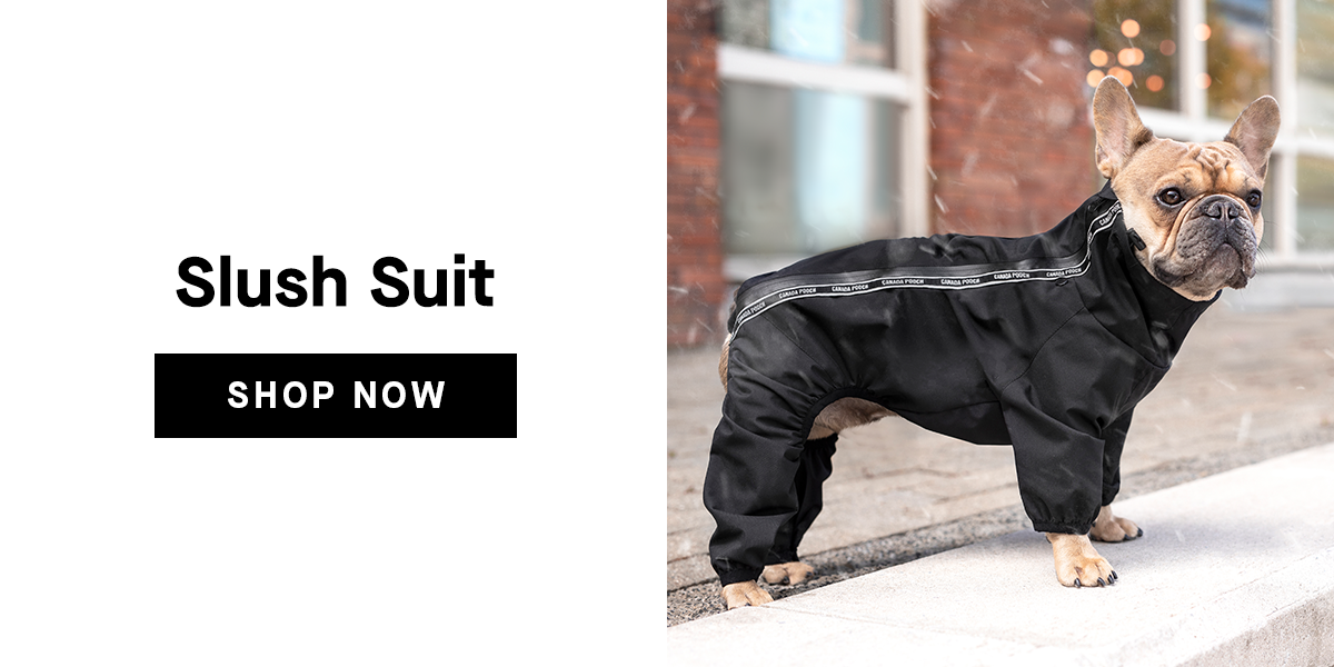 Slush Suit - SHOP NOW