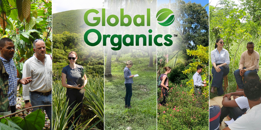 Discover the Authentic Taste of Nature with Global Organics Ingredients