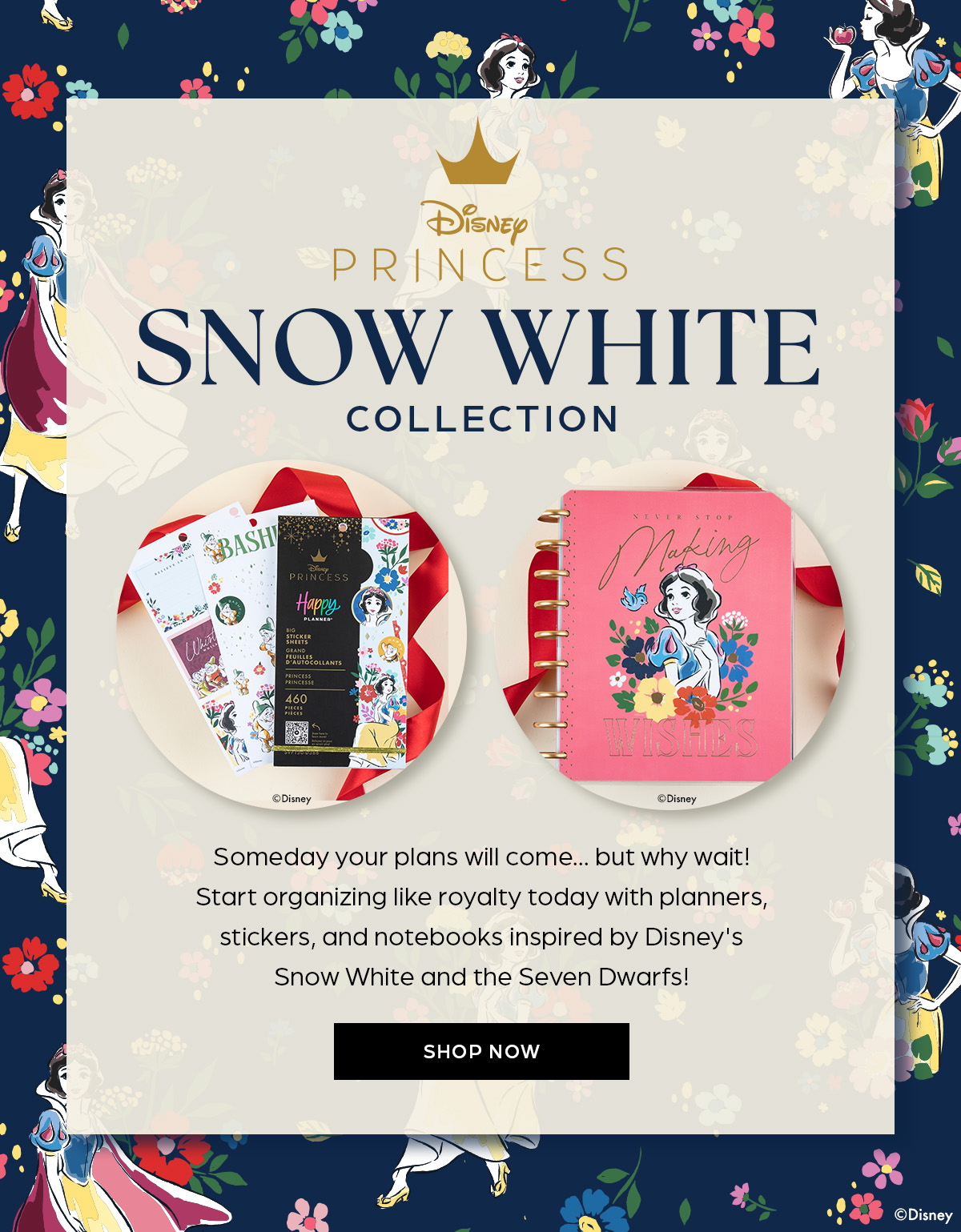 Disney Snow White Collection