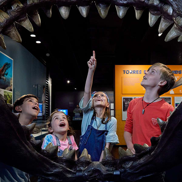 Four children look at a shark mouth exhibit at a science museum.