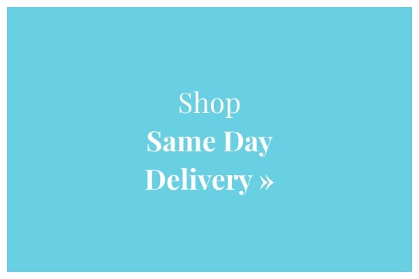 Shop Same Day »