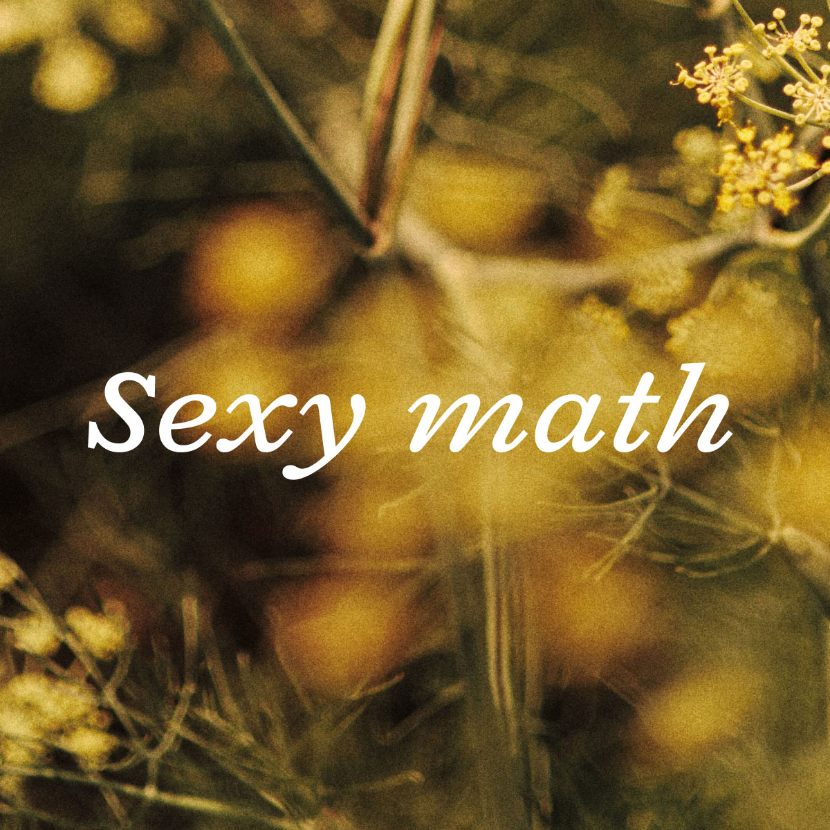 Sexy Math