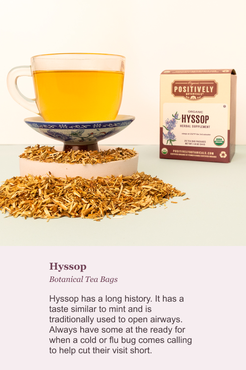 Hyssop Botanical Tea Bags. Hyssop has a long history. It has a taste similar to mint and is traditionally used to open airways. Always have some at the ready for when a cold or flu bug comes calling to help cut their visit short.