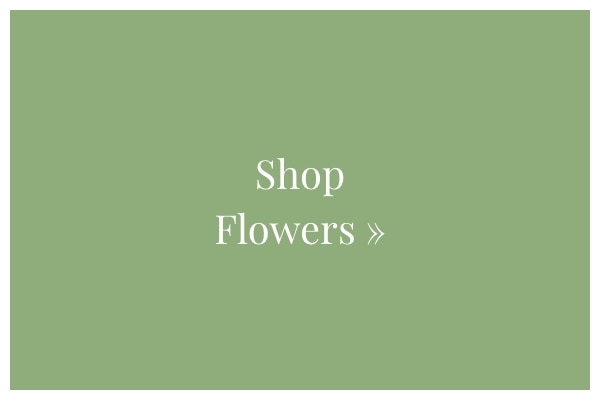 Shop Flowers »