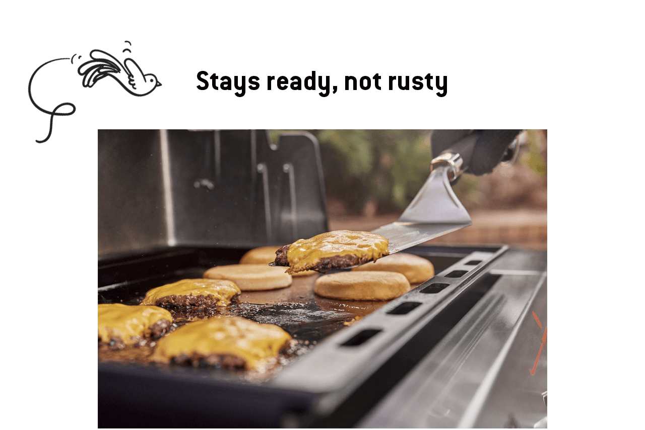 link to discover more about the rust resistant griddle inserts