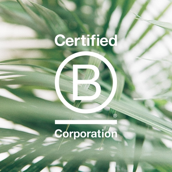 B Corp 