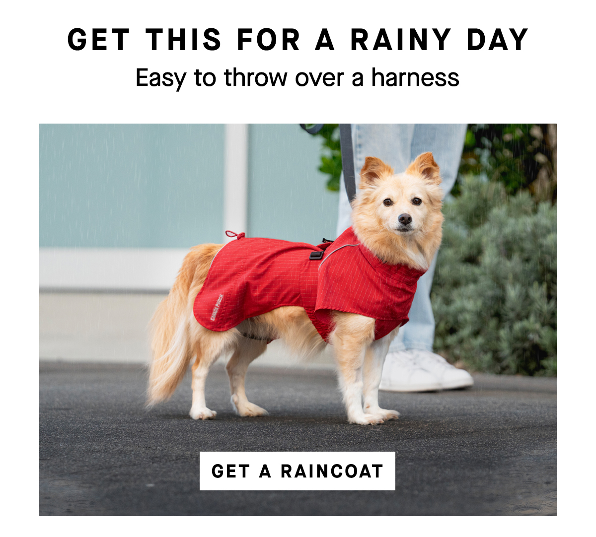 Dog in a red Complete Coverage Raincoat