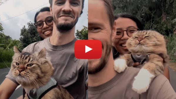 Want to see a strong human-cat bond in action?