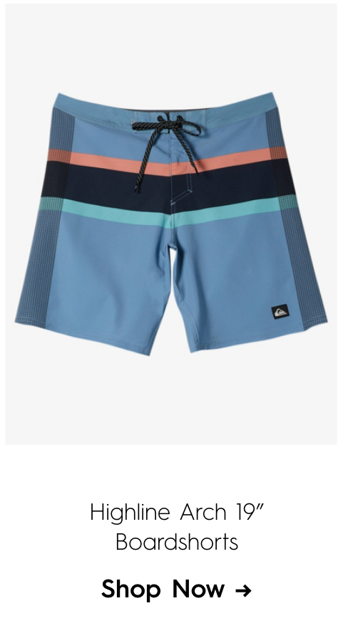 Highline Arch 19" Boardshorts