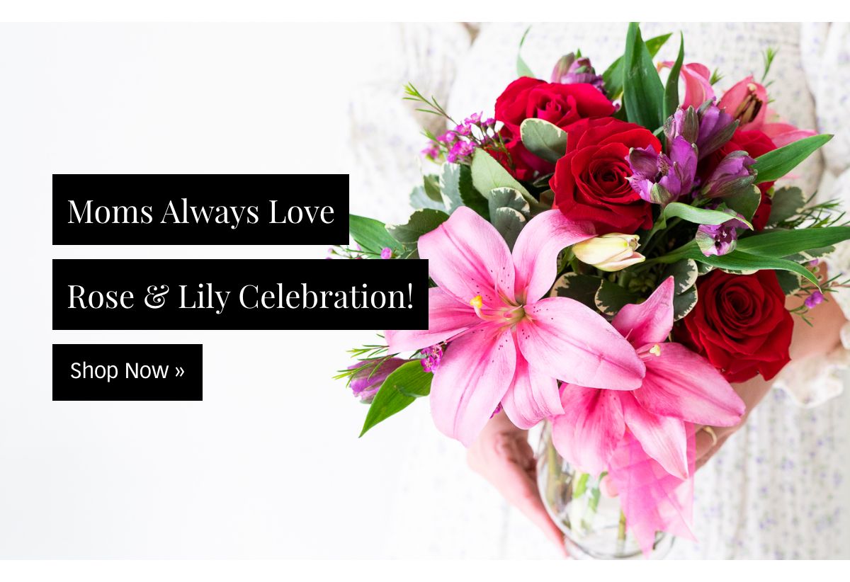 Send Rose & Lily Celebration »