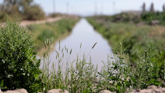 Irrigation drain near Calipatria, Calif., March 22, 2024.