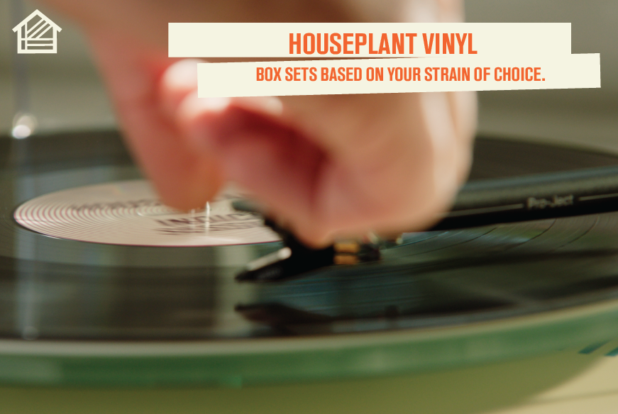 HOUSEPLANT VINYL