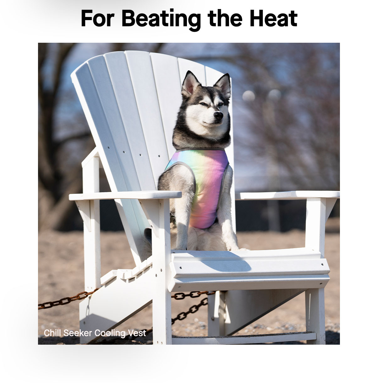 Cooling Vest