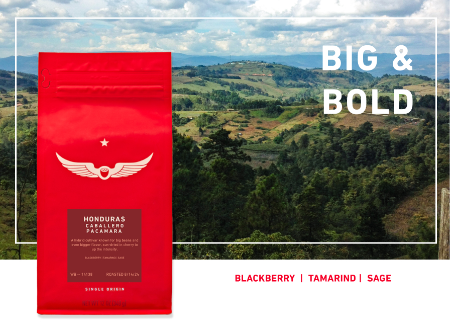 Red coffee bag in front of a photo of a beautiful hondurus mountains of coffee farms