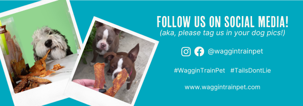 Waggin' Train links to website and social media