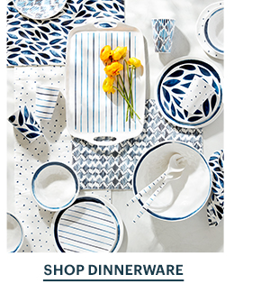 SHOP DINNERWARE