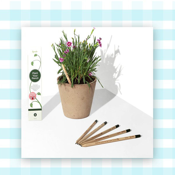 These Fun Seeded Pencils Sprout Flowers and Herbs!