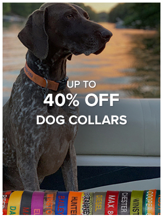 40% Off Dog Collars