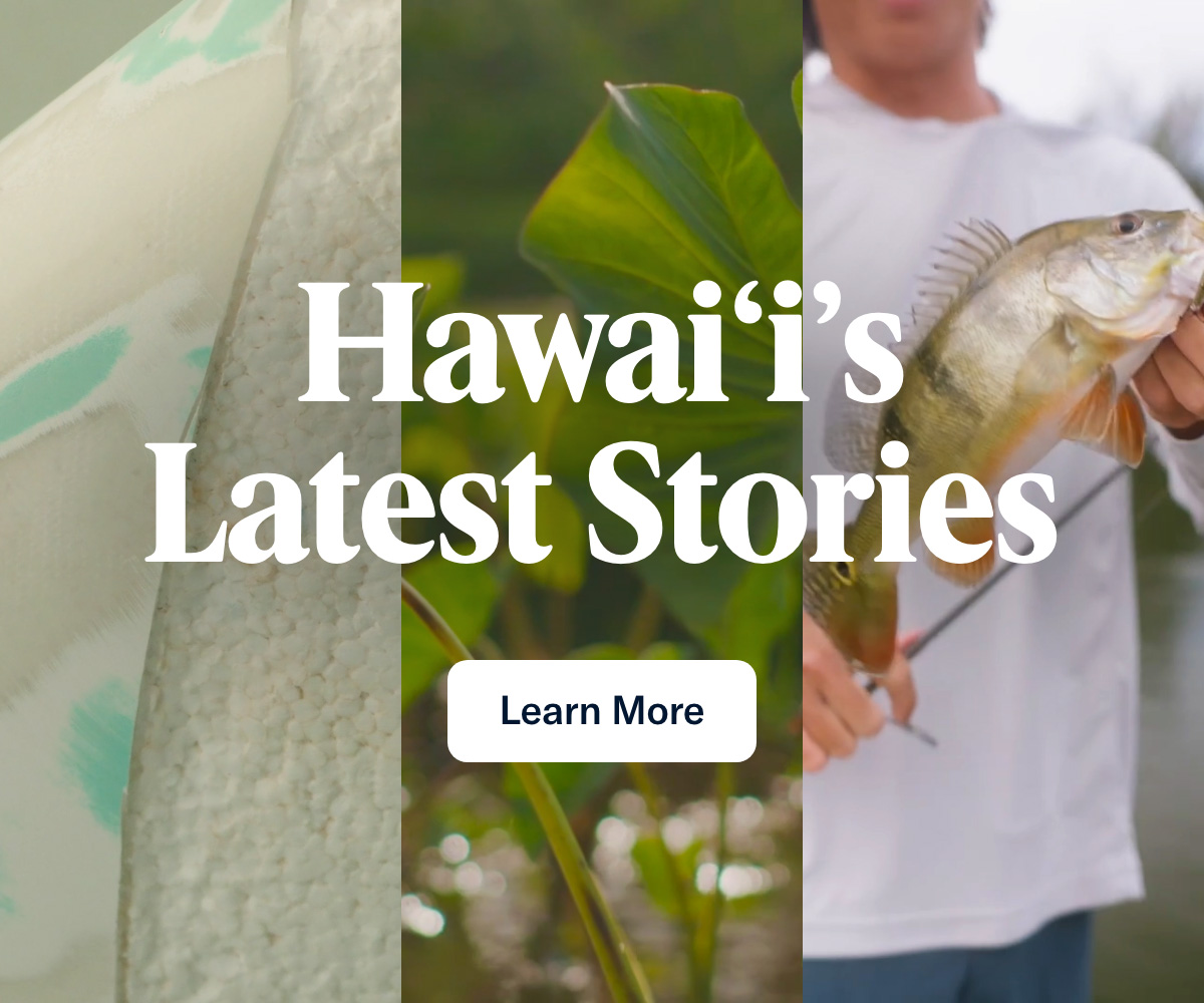 Hawai'i's Latest Stories