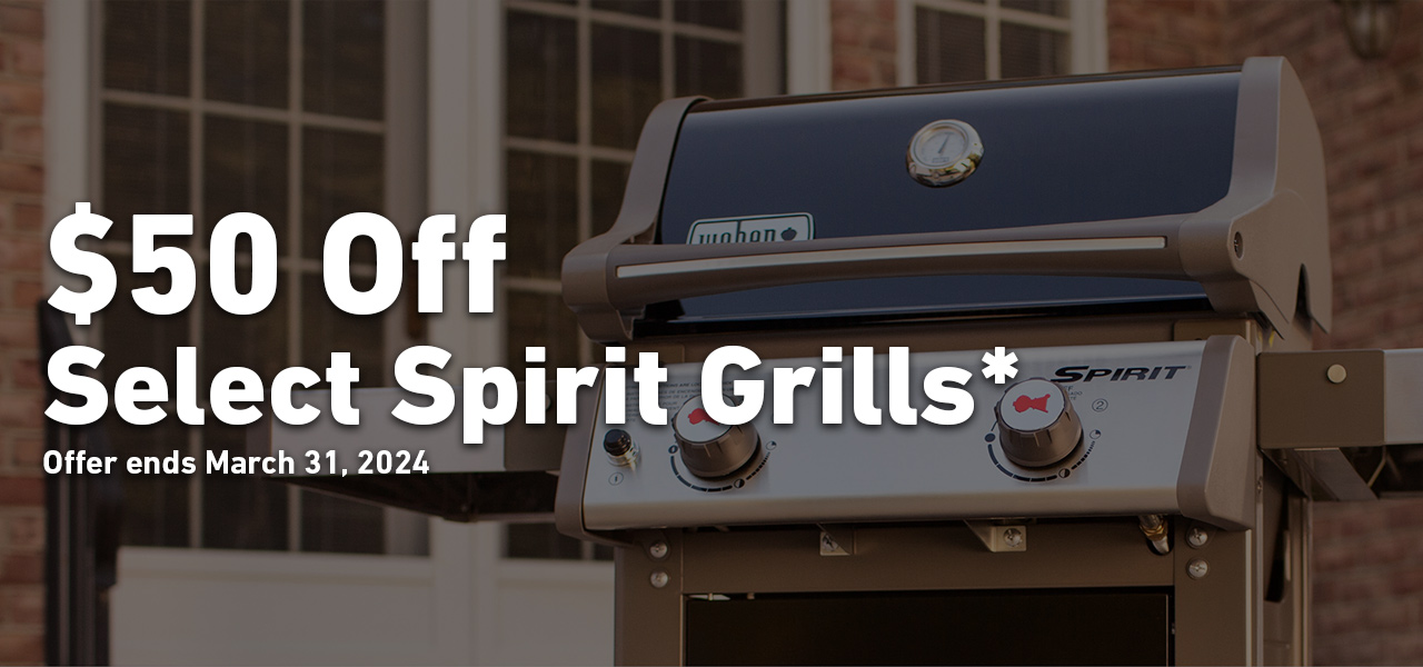 link to discover more about the Weber Spirit