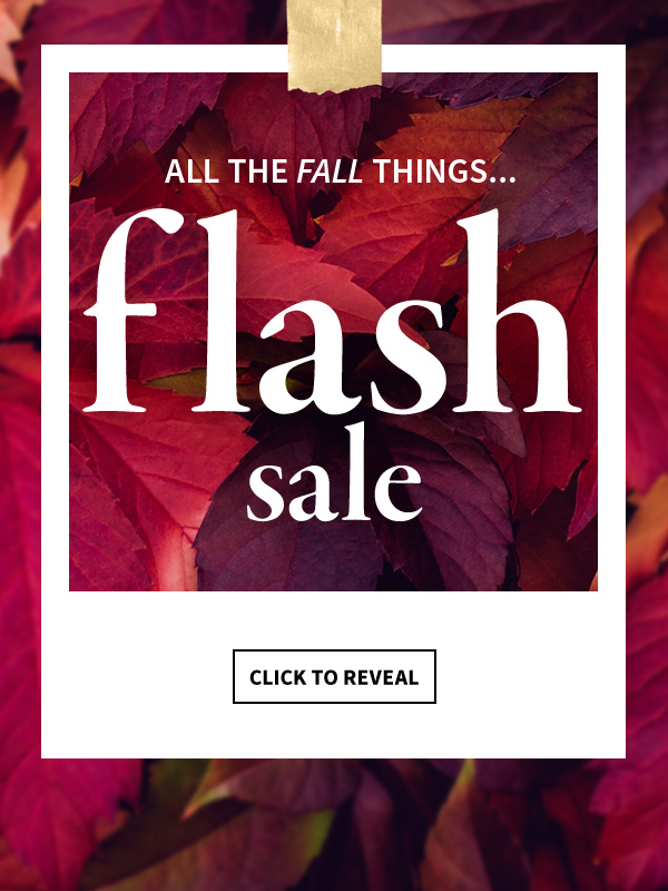 All the fall things...FLASH SALE. CLICK TO REVEAL. 