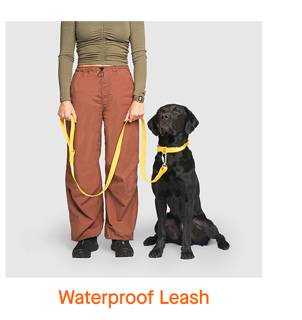 Waterproof Leash