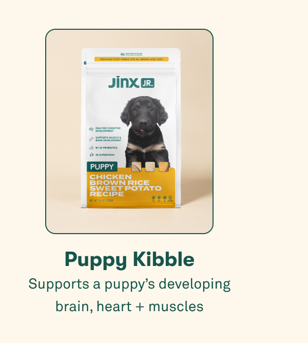 Puppy kibble