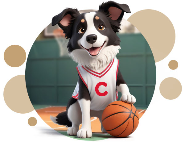 Dog playing basketball