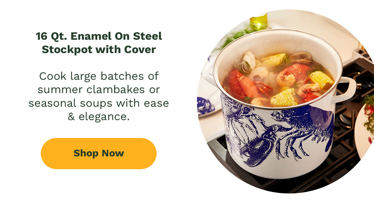 16 Qt. Enamel On Steel Stockpot with Cover