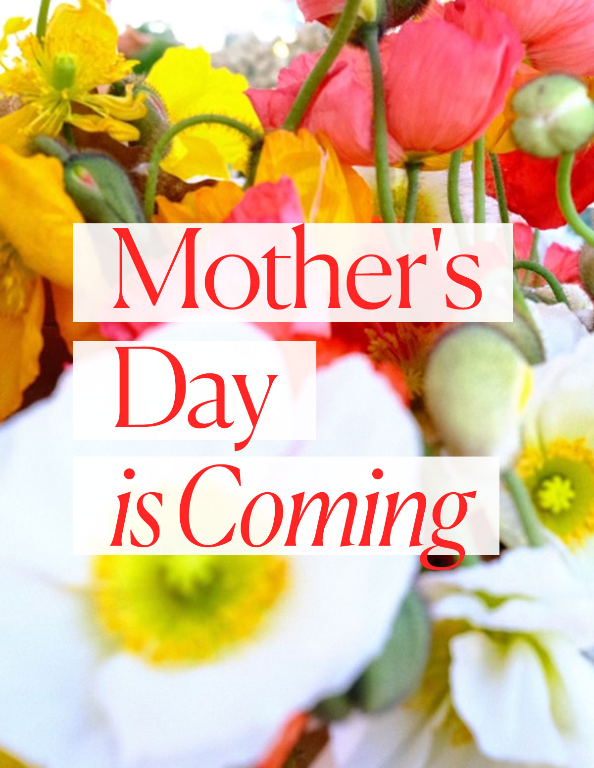 Mother's Day Is Coming