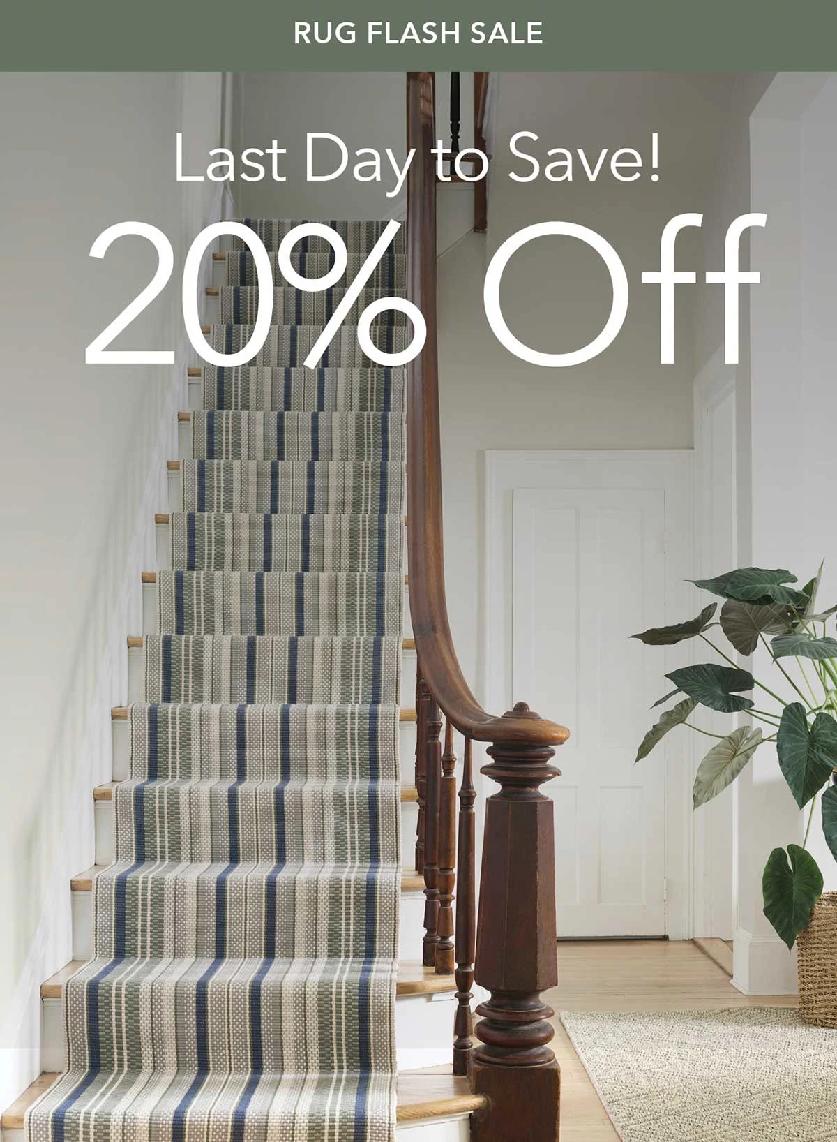 Last Day to Save! 20% OFF