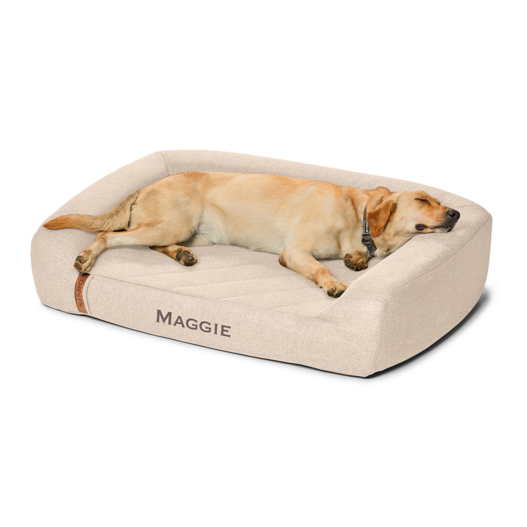 Dogs Orvis RecoveryZone® Couch Dog Bed