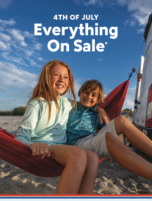 Two cute kids sitting in a hammock on the beach.