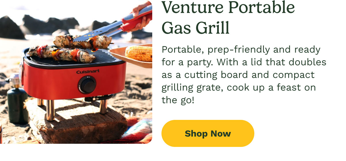 Venture Portable Gas Grill