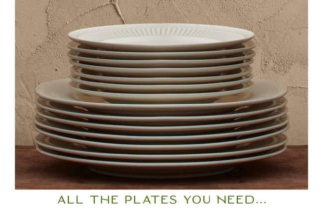 Shop All The Plates You Need...