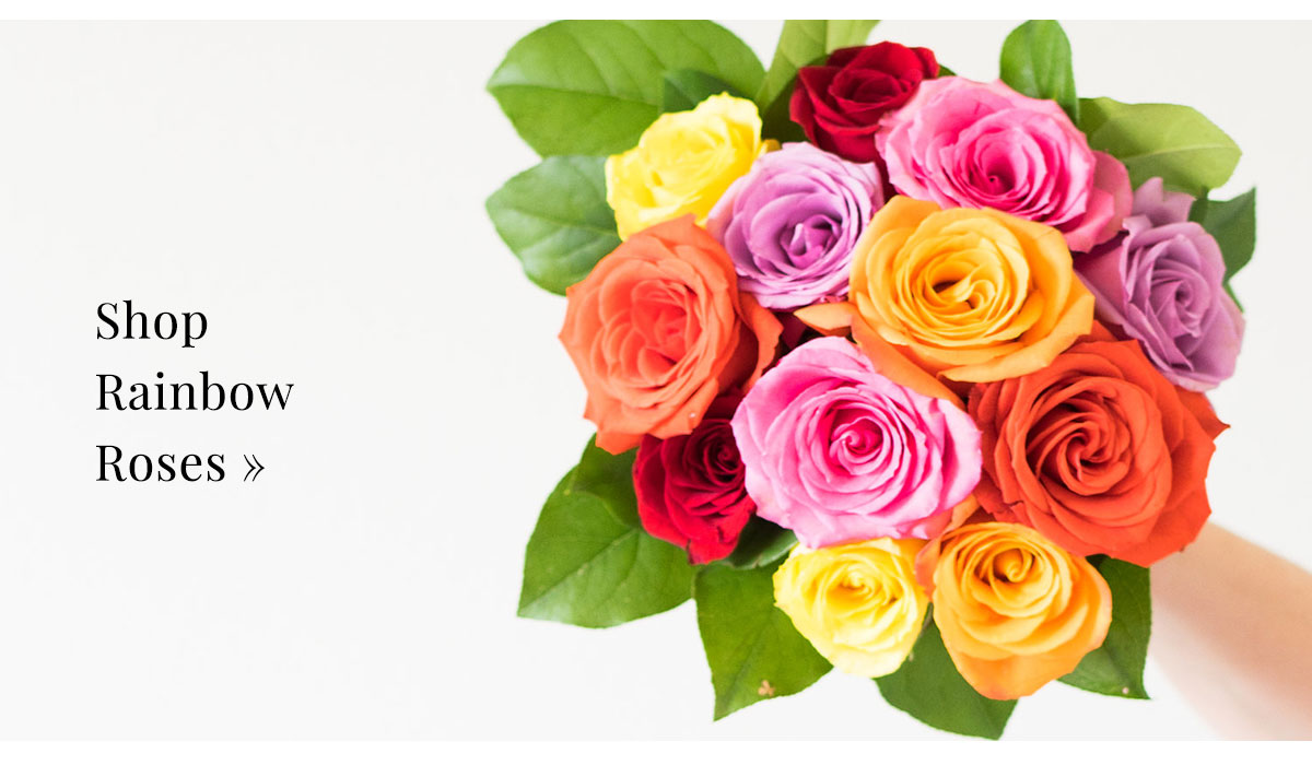 Shop Rainbow Roses »