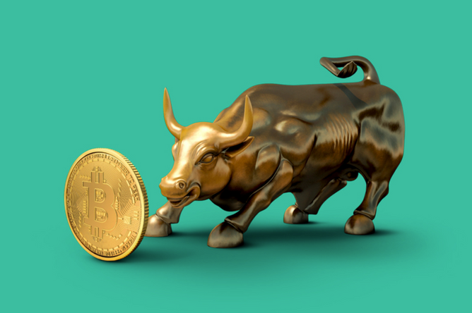 bitcoin bull