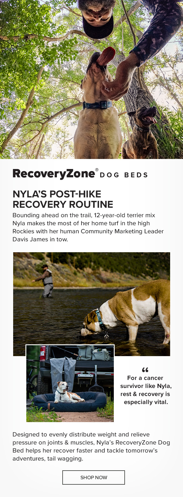 Orvis RecoveryZone® Dog Beds Nyla's Post-Hike Recovery Routine Bounding ahead on the trail, 12-year-old terrier mix Nyla makes the most of her home turf in the high Rockies with her human Community Marketing Leader Davis James in tow. For a cancer survivor like Nyla, rest & recovery after every outing is especially vital, so Davis makes sure she gets the best. Designed to evenly distribute weight and relieve pressure on joints & muscles, Nyla’s RecoveryZone Dog Bed helps her recover faster and tackle tomorrow’s adventures, tail wagging.