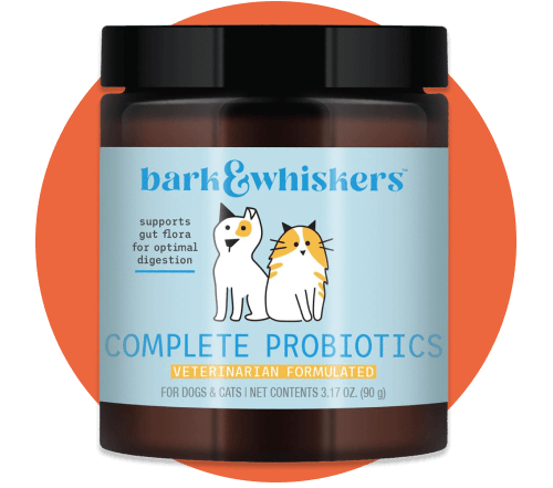 Daily Probiotic Supplement