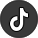 tiktok icon